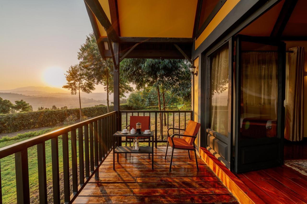 Shamba Lodge Cabin B Аруша Екстер'єр фото